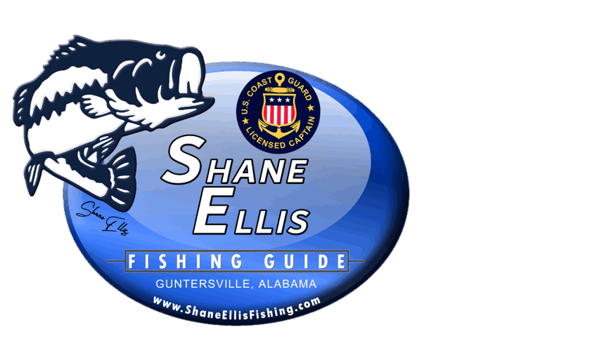 Bass Fishing Guide